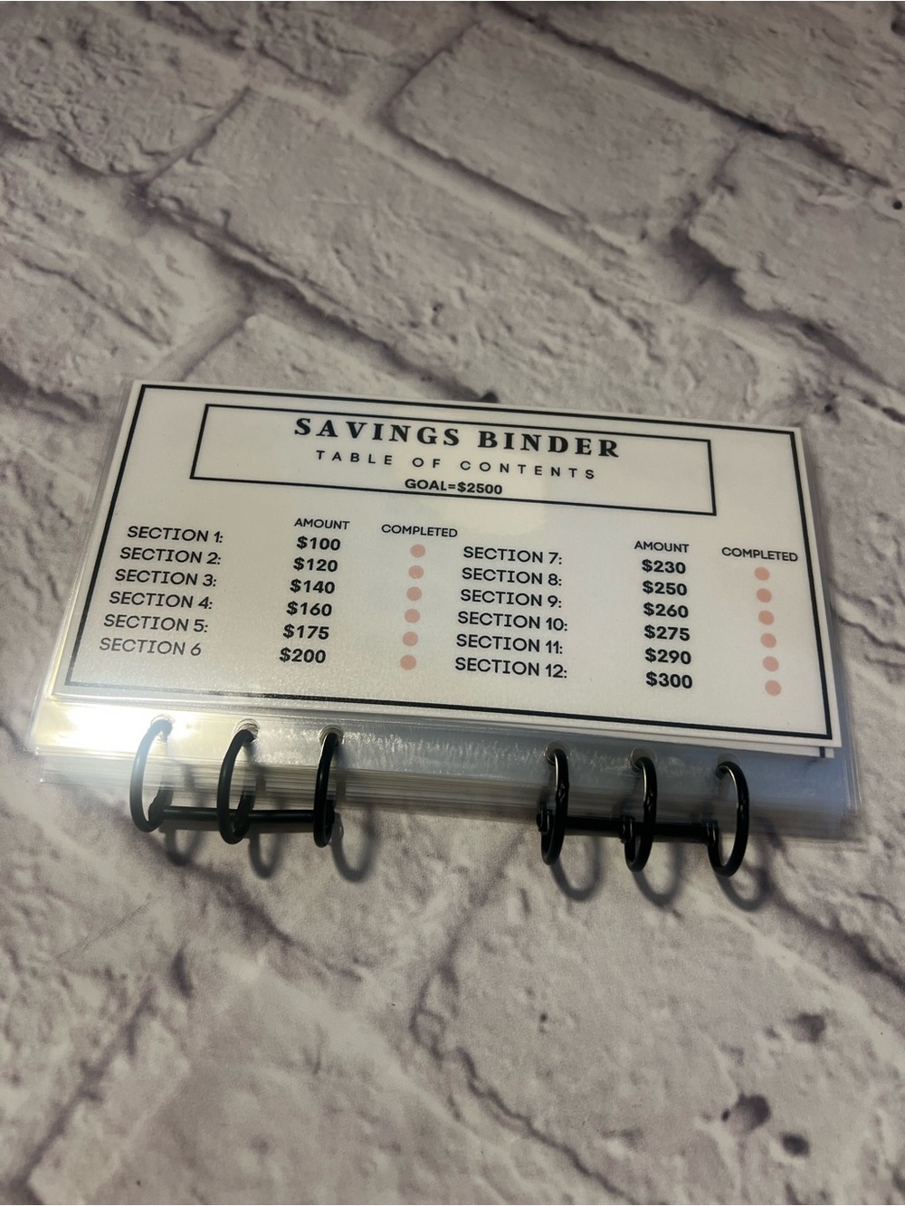 Cash Savings Money Binder Planner - White with Black Text